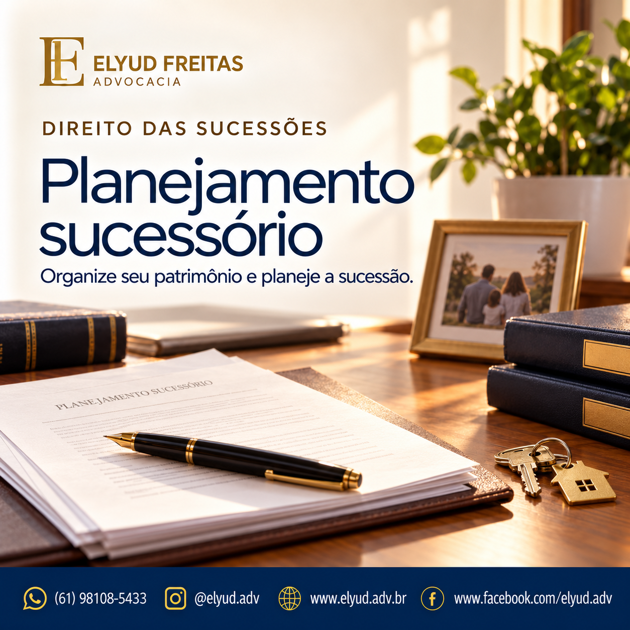 Planejamento sucessório, Testamento, Doação, Usufruto, Herança, Holding familiar